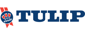 Tulip